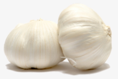 Garlic Png Transparent Images - Garlic Png Transparent, Png Download, Free Download
