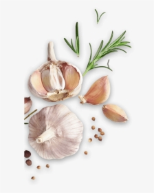 Garlic, HD Png Download, Free Download