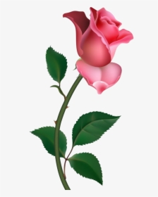 Single Rose Png Pic - Clipart Rose, Transparent Png, Free Download