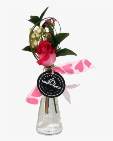 Single Rose Png, Transparent Png, Free Download