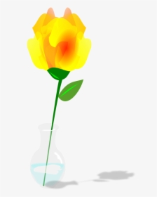 Single Yellow Rose - Tulip, HD Png Download, Free Download