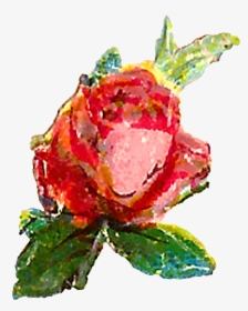 The First Pink Rose Clip Art Is Of A Single Flower - Garden Roses, HD Png Download, Free Download