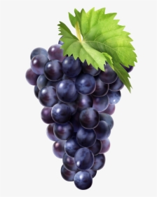 Black Grapes Clip Art - Blvk Unicorn Fruit Box Unigrape, HD Png Download, Free Download