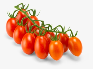 Pure Flavor Juno Bites On The Vine Red Grape Tomatoes - Grape Tomatoes On The Vine, HD Png Download, Free Download