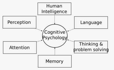 Cognitivepsychology - Svg - Cognitive Psychology, HD Png Download, Free Download