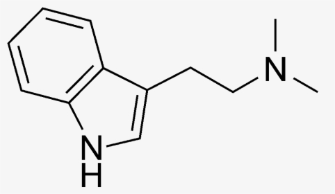 File - Dmt - Psilocin Dmt Molecule, HD Png Download, Free Download