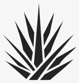 Agave Plant Png Logo, Transparent Png, Free Download