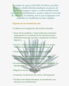 Inulina Beneficios, HD Png Download, Free Download