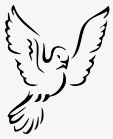 Dove - Dove Icon Png, Transparent Png, Free Download