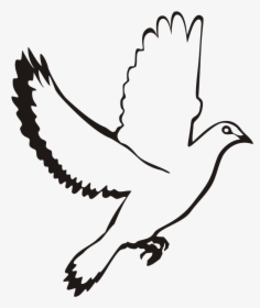 White Flying Dove Clipart - Clip Art, HD Png Download, Free Download