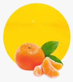 Tangerine Cartoon Png, Transparent Png, Free Download