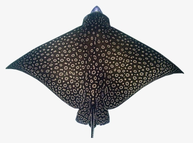 Spotted Eagle Ray Top View, HD Png Download, Free Download