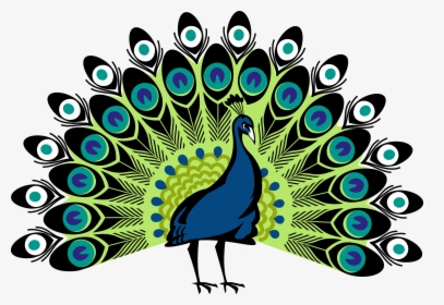 Download And Use Peacock Transparent Png File - Peacock Png, Png Download, Free Download