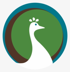 Peacock Logo Png, Transparent Png, Free Download