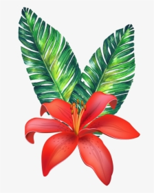 #flower #tropical #freetoedit - Vector Tropical Flowers Png, Transparent Png, Free Download
