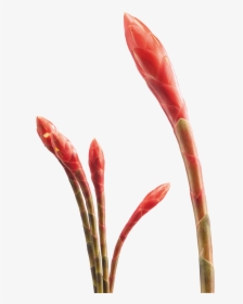 Artificial Flower , Png Download - Artificial Flower, Transparent Png, Free Download