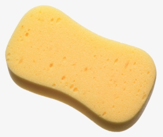 Washing Sponge Png - Sponge Png, Transparent Png, Free Download