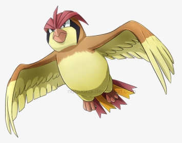 Pidgeotto Render, HD Png Download, Free Download