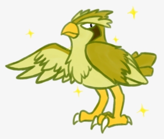 I’ve Never Drawn A Pidgey Before And The Longer Than - Parrot, HD Png Download, Free Download