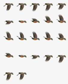 Bird Sprite Png - Bird Flying Sprite Sheet, Transparent Png, Free Download