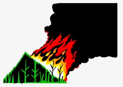 Vector Illustration Of Environmental Disaster Raging - Transparent Forest Fire Png, Png Download, Free Download