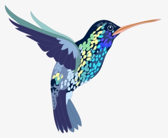 Png, Bird, Hummingbird, Colorful, Illustration, Shapes - Realistic Animal Clip Art, Transparent Png, Free Download