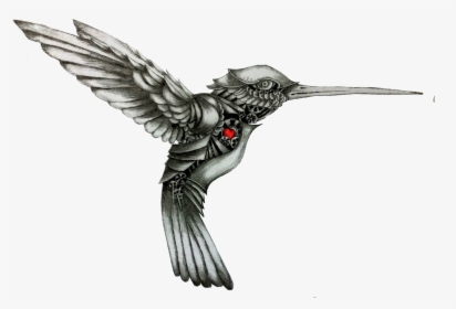 Hummingbird Drawing Tattoo Color - Black And White Hummingbird Tattoo, HD Png Download, Free Download
