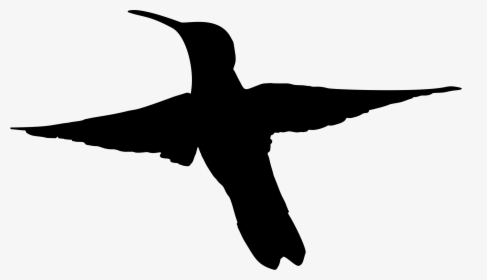 Hummingbird Silhouette, HD Png Download, Free Download
