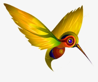 Yellow Humming Bird - Hummingbird, HD Png Download, Free Download