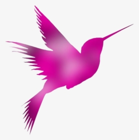 Hummingbird Png, Transparent Hummingbird Clipart - Hummingbird, Png Download, Free Download