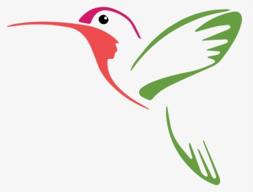 Hummingbird Vector Graphics Drawing Illustration - Hummingbird Painted On Rocks, HD Png Download, Free Download