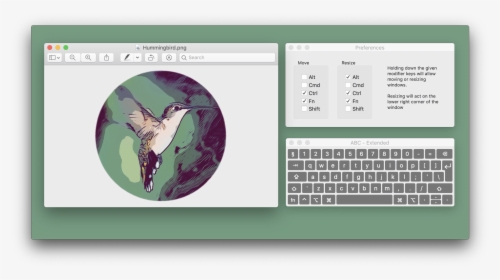 Hummingbird Png, Transparent Png, Free Download