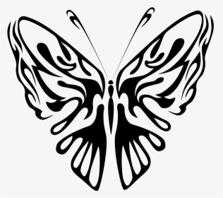 Butterfly Line Art - Butterfly Black Line Drawing, HD Png Download, Free Download