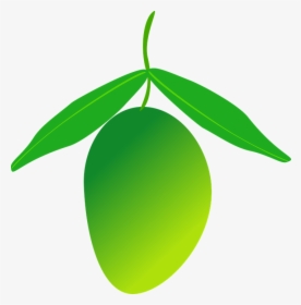 Mango, Fruit, Food, Healthy - Green Mango Clipart Png, Transparent Png, Free Download