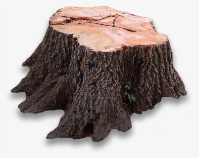 Tree Stump Png Page - Tree Stump, Transparent Png, Free Download
