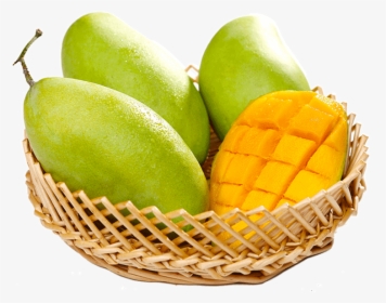 Mangifera Indica , Png Download - Catty, Transparent Png, Free Download