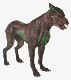 Alpha Glowing Mongrel - Fallout 4 Glowing Mongrel, HD Png Download, Free Download