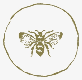 Icon-bee - Illustration, HD Png Download, Free Download