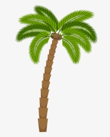 Drawing Silhouette Royalty-free Illustration - Coconut Tree Png Drawing, Transparent Png, Free Download