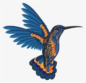Bird In Flight Illustration, HD Png Download, Free Download