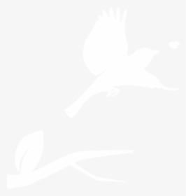 Black And White Fly Birds, HD Png Download, Free Download