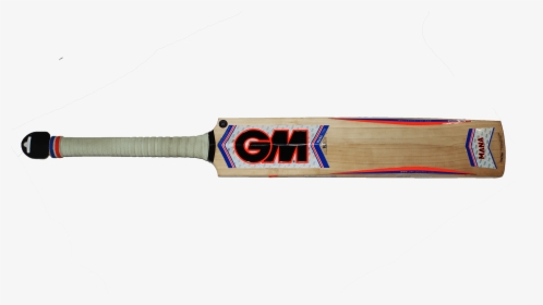 Cricket, HD Png Download, Free Download