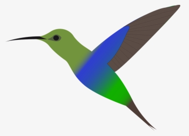 Bird, Humming-bird, Hummingbird, Flying, Colorful - Hummingbird Clipart Free, HD Png Download, Free Download
