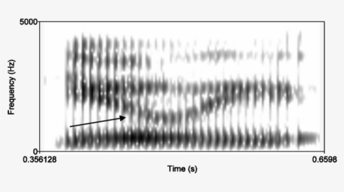 Spectrogram Of Glasgow Non Asian Male Saying Daily - Monochrome, HD Png Download, Free Download