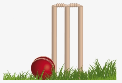 Cricket Png Background Image - Background Cricket Images Png, Transparent Png, Free Download