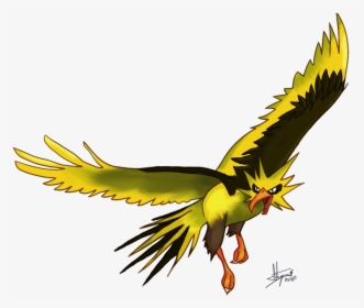 Zapdos Drawing Flying - Zapdos, HD Png Download, Free Download