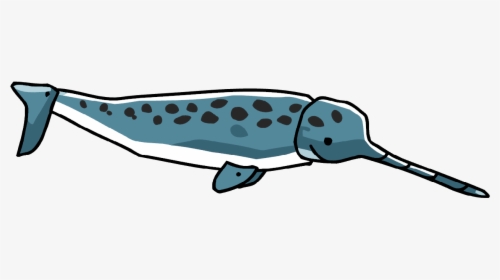 Narwhal, HD Png Download, Free Download