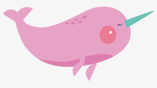 Narwhal Svg Cut File, HD Png Download, Free Download