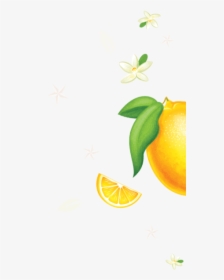 Tangerine, HD Png Download, Free Download