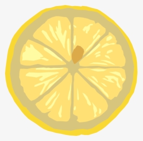 Cross Section Of A Lemon, HD Png Download, Free Download